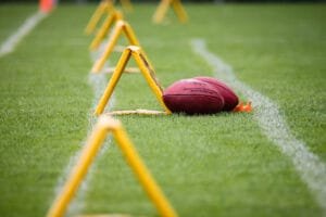 NFL fan